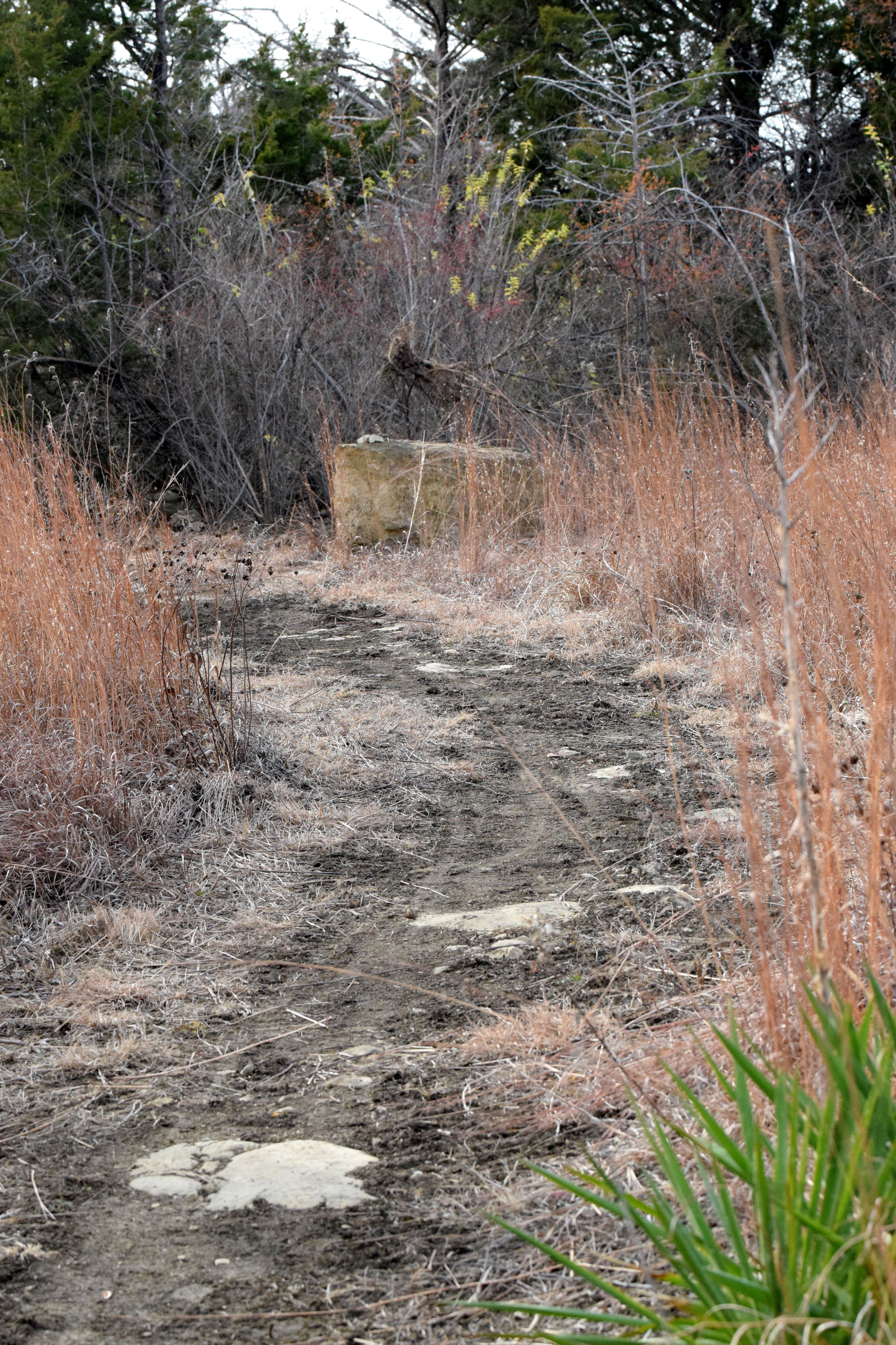 Curve on upper trail t